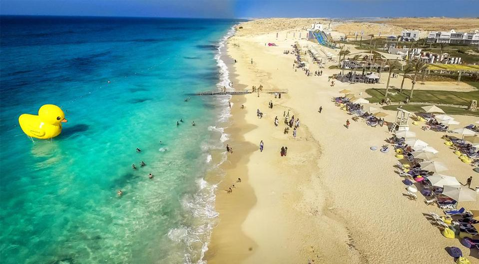 Egypt Secures $35bn Lifeline: IMF Loan Hinges on Currency&nbsp;Reform